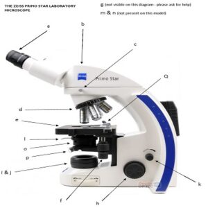 Alternative view of ZEISS PRIMOSTAR