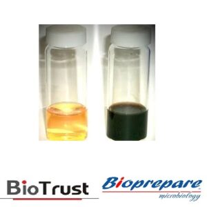 FRASER BROTH 10ml BIOPREPARE