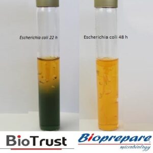 GLUCOSE OF MEDIUM 15ml BIOPREPARE