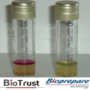 INDOLE BROTH 2ml BIOPREPARE