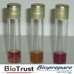 LYSINE DECARBOXYLASE BROTH 2ml BIOPREPARE