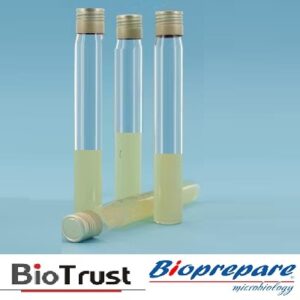 BRAIN HEART INFUSION BROTH 5ml BIOPREPARE