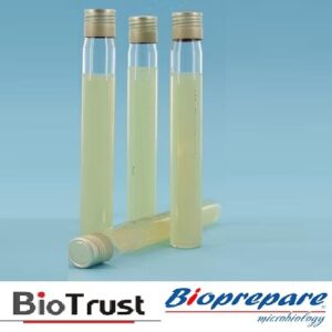 BRAIN HEART INFUSION AGAR 5ml BIOPREPARE
